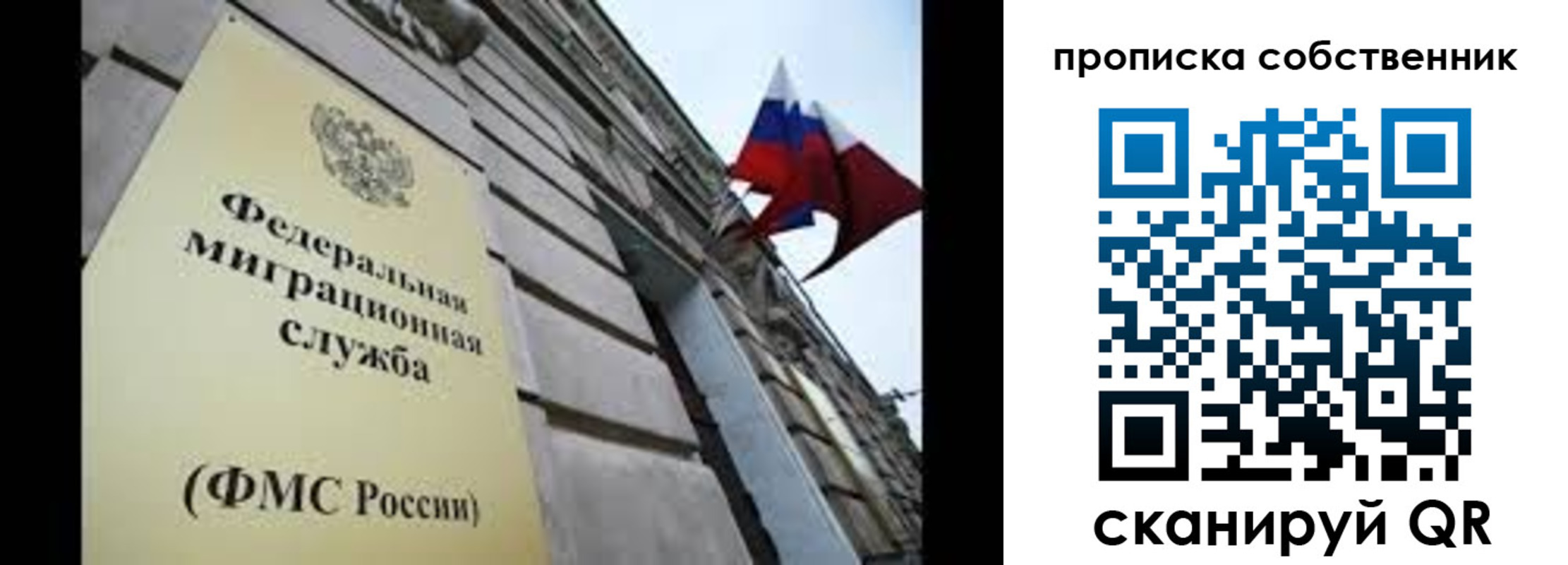 прописка гарантия в Зуевке